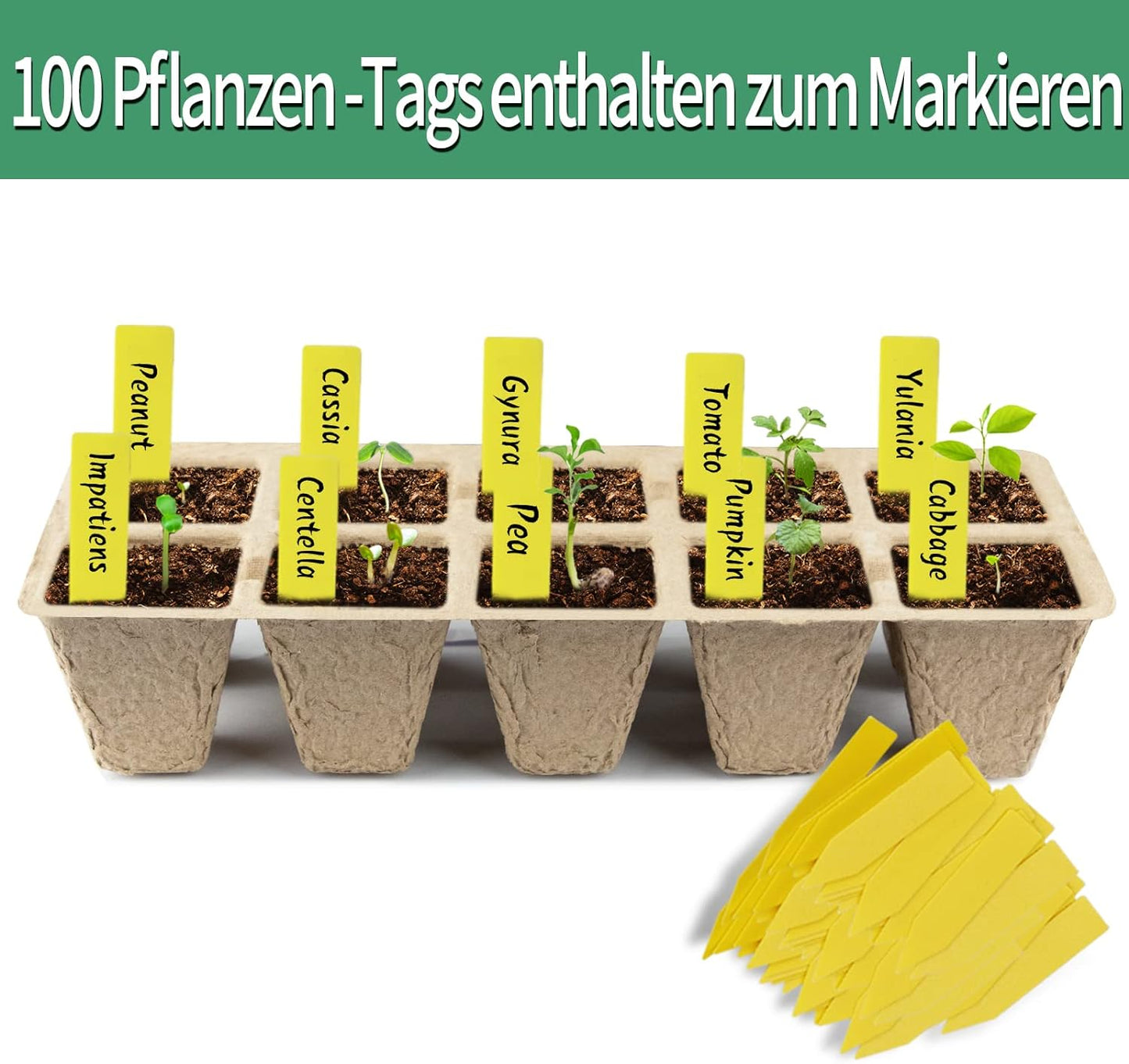 Anzuchttöpfe 100Zellen Biologisch abbaubare , 10pcs Anzuchttöpfe Abbaubar Pflanztopf Biologisch Abbaubar
