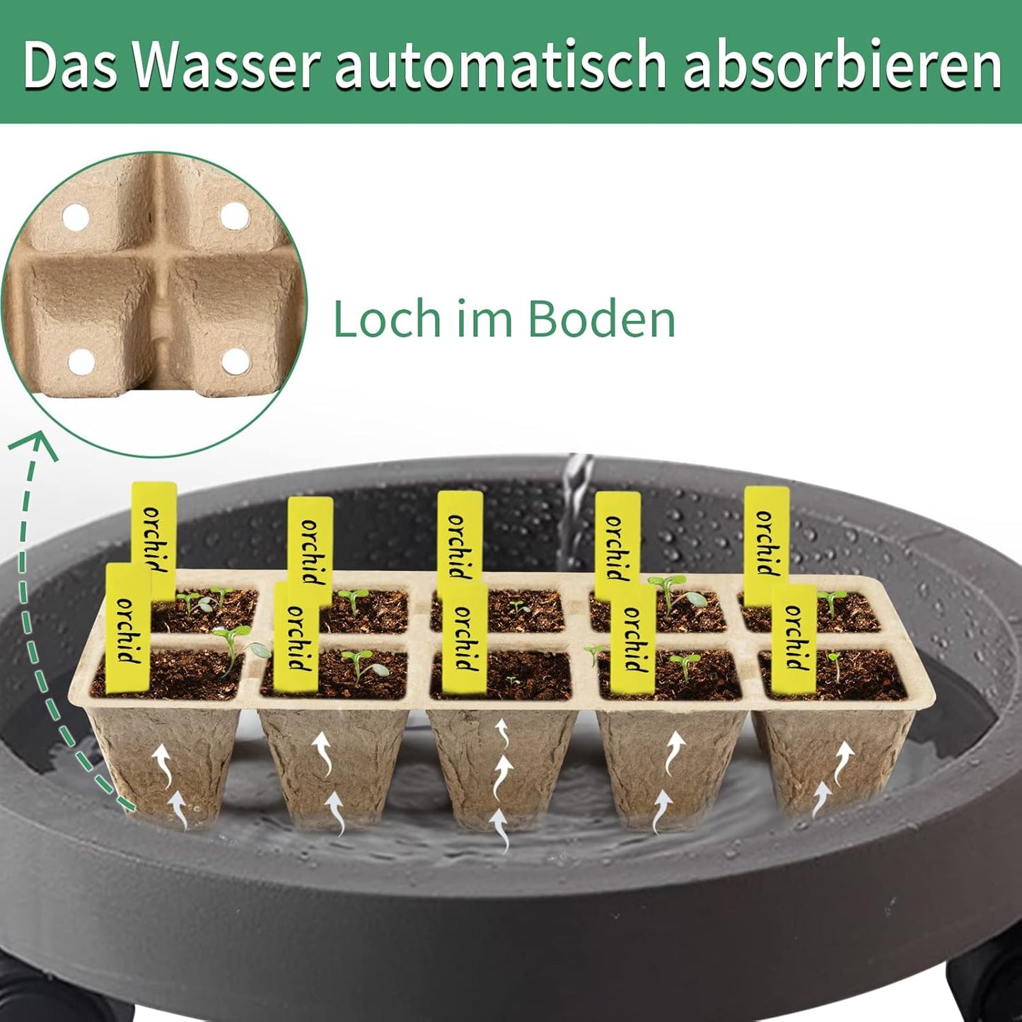 Anzuchttöpfe 100Zellen Biologisch abbaubare , 10pcs Anzuchttöpfe Abbaubar Pflanztopf Biologisch Abbaubar
