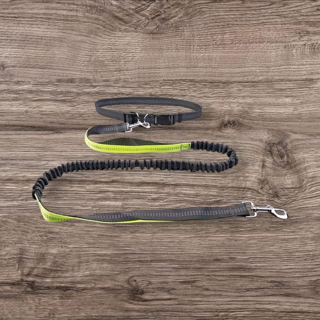 Hundeleine mit Bungee-Laufgürtel ( Joggingleine )