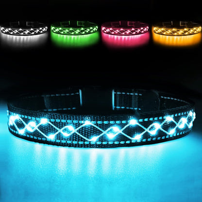 Hundehalsband Leuchtend - LED Blinklicht und Reflektorstreifen - USB. Leuchtet weiß