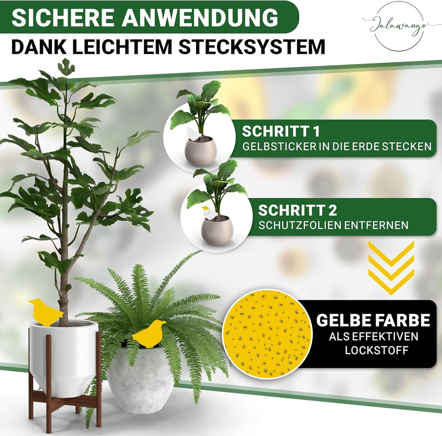 Gelbsticker Trauermücken | Premium Gelbtafeln mit Befestigung - Vogelform | Effektive Klebefalle