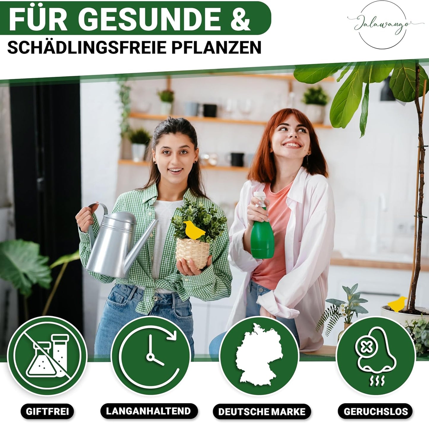 Gelbsticker Trauermücken | Premium Gelbtafeln mit Befestigung - Vogelform | Effektive Klebefalle