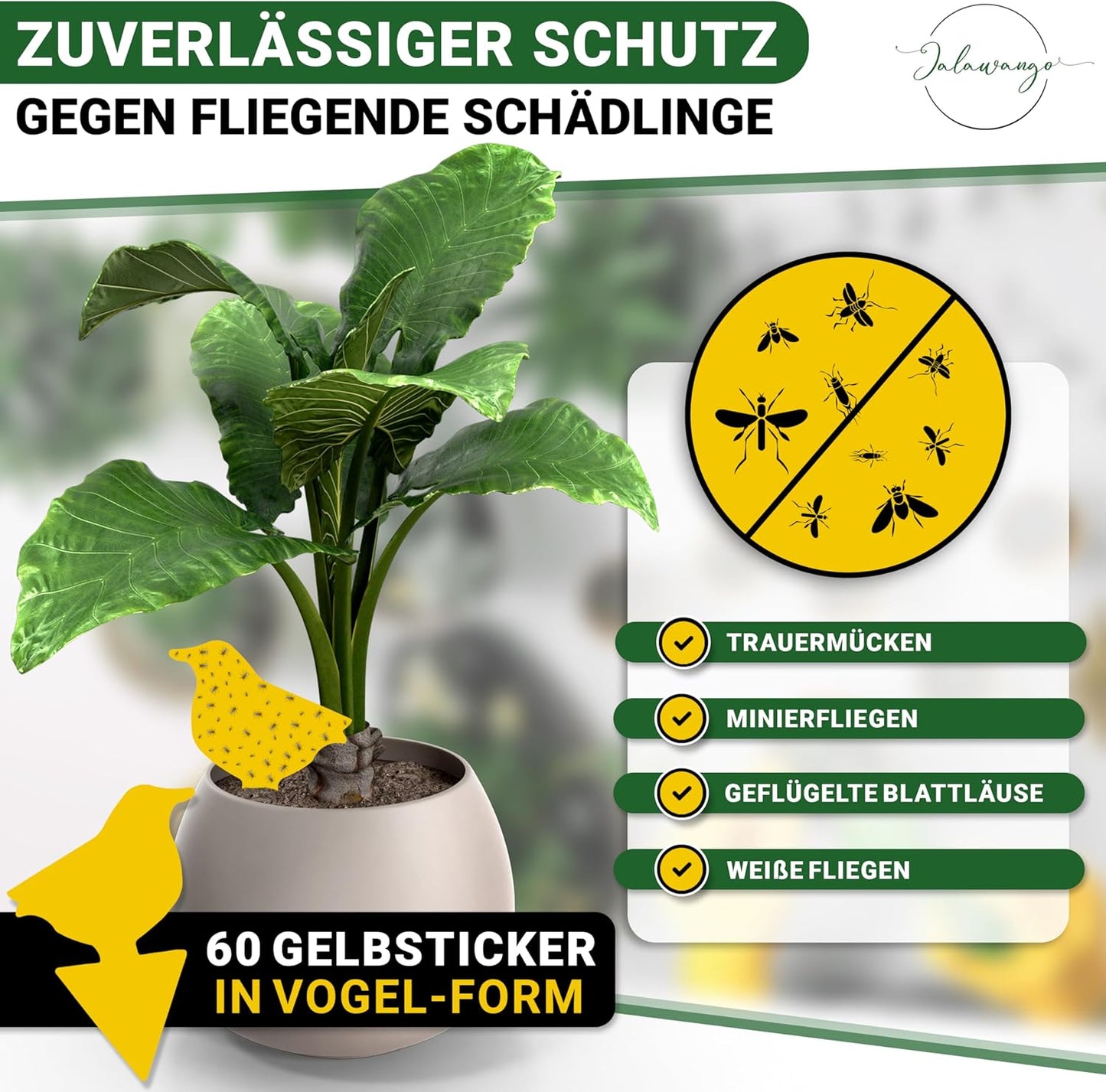 Gelbsticker Trauermücken | Premium Gelbtafeln mit Befestigung - Vogelform | Effektive Klebefalle