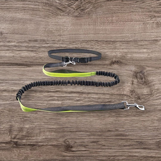 Hundeleine mit Bungee-Laufgürtel ( Joggingleine )